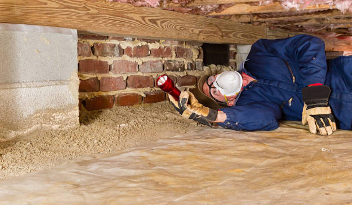 ReForce Restoration Crawl Space Cleaning Inspection