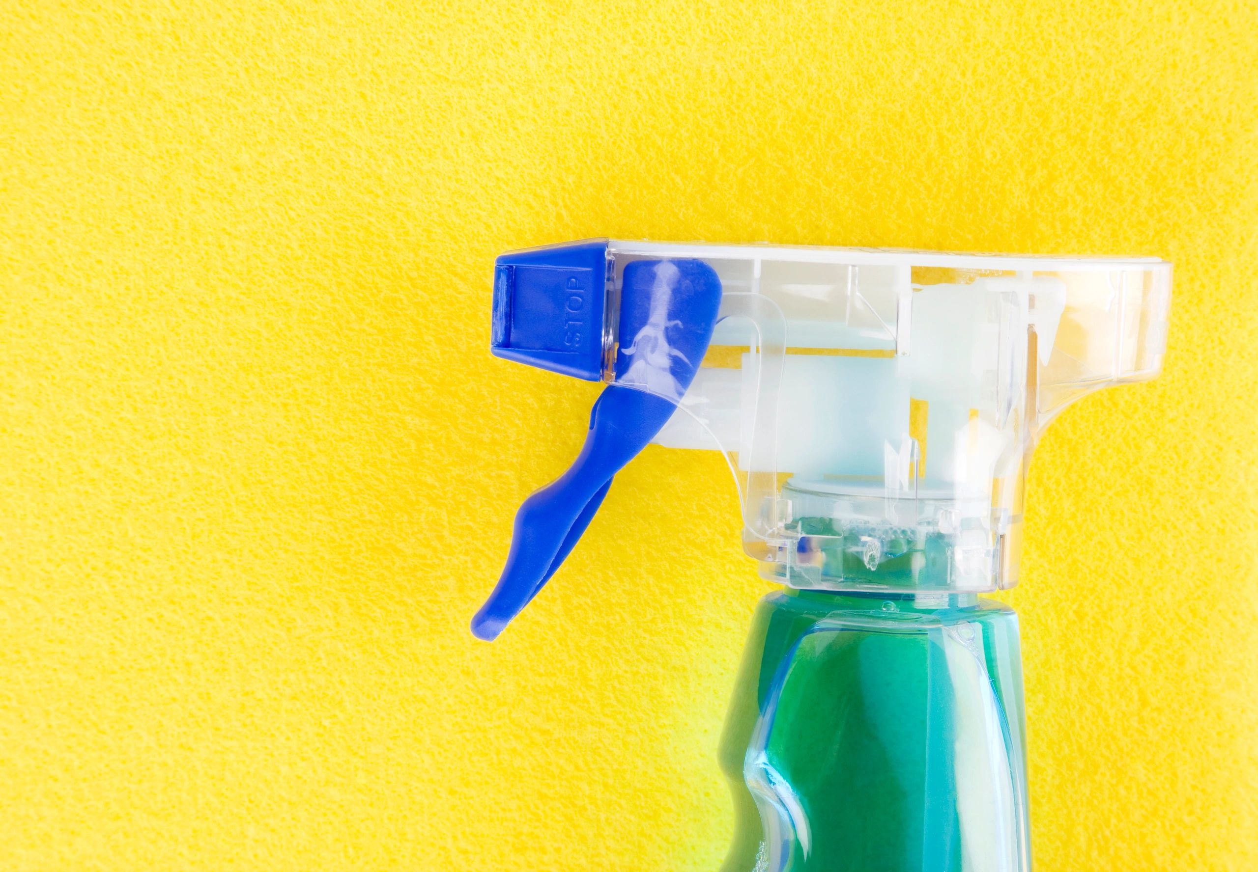 Cleaning products arranged together