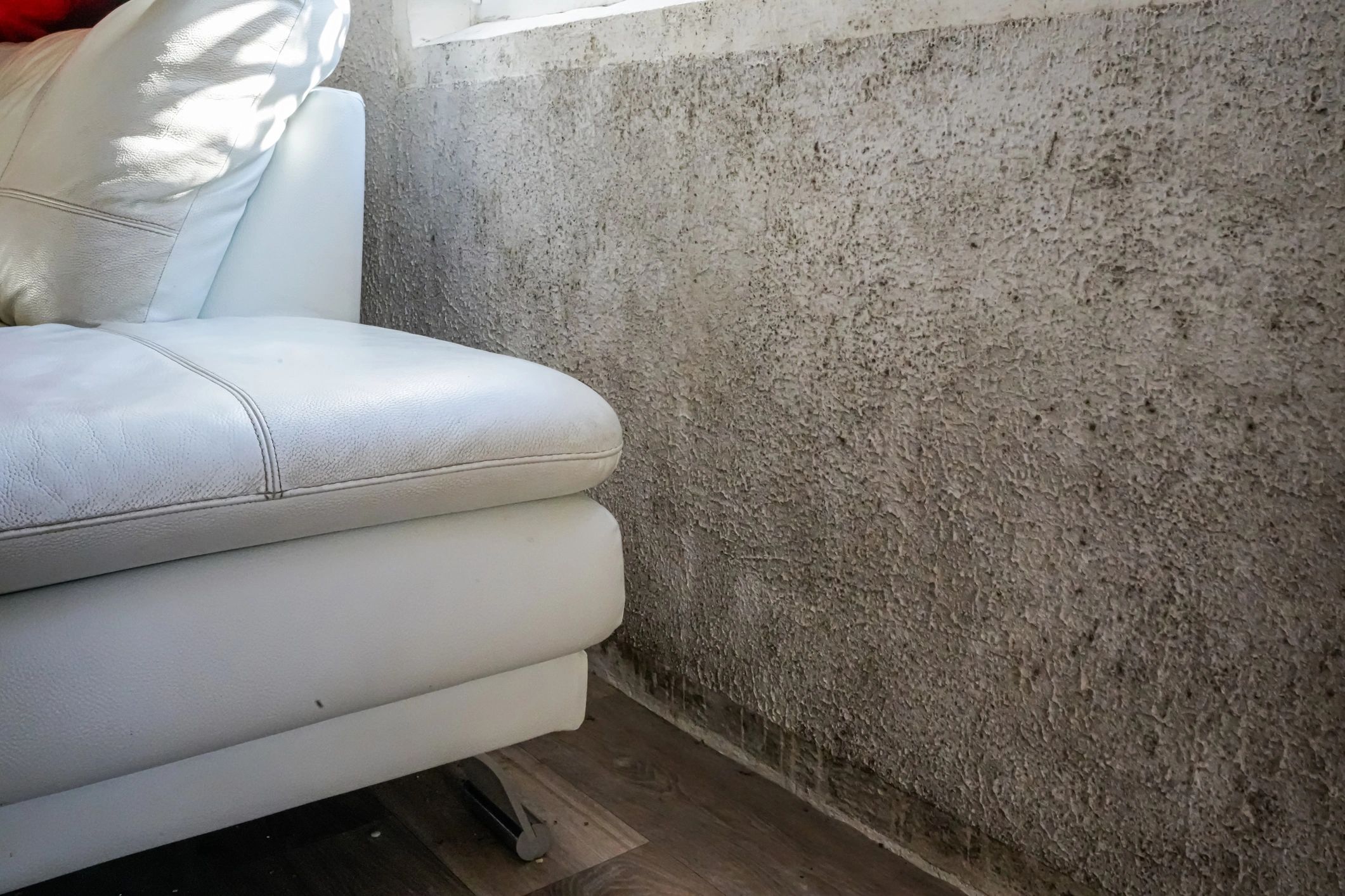 Mold damage on interior wall